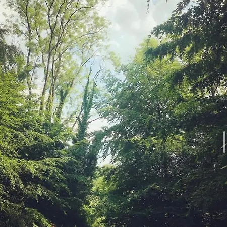 Les Fermes Familles Bonte Bien Etre Et Nature Les Champeaux