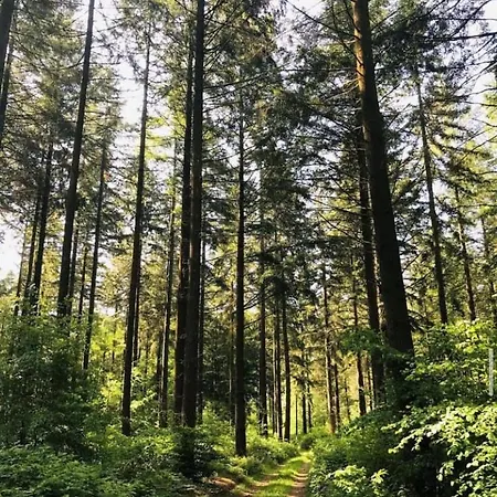 ゲストハウス Les Fermes Familles Bonte Bien Etre Et Nature
