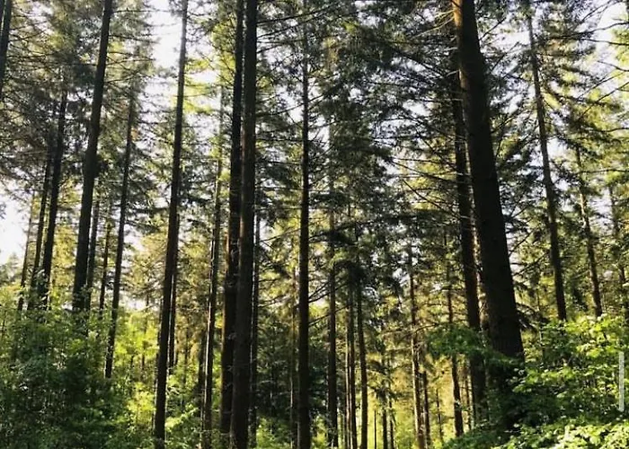 Pensjonat Les Fermes Familles Bonte Bien Etre Et Nature